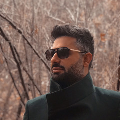 mohamad daryanavard