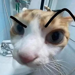 ☆ 32glxcks ☆ prod teec