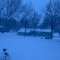 snowsxtr+