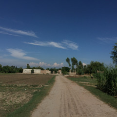 Haseeb Asghar