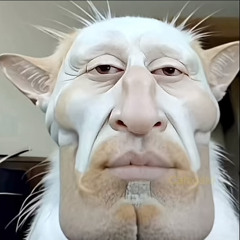 hgher