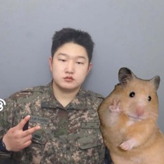 HAMSTIN (KR)