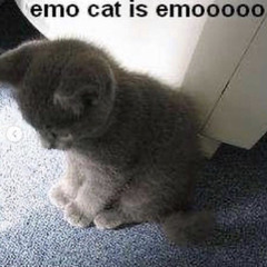 ‎
