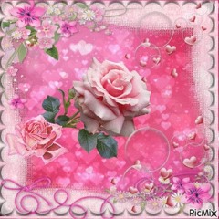 Little miss rose