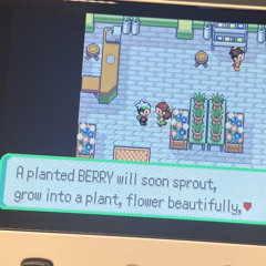 officeplant