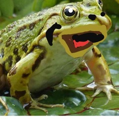 Smuff
