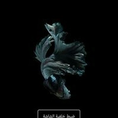 Fatma Mohamed