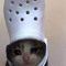 Crockitty