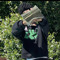 LilSkipp