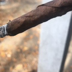 i dont care about plays