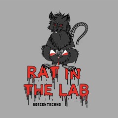 RAT.IN.THE.LAB