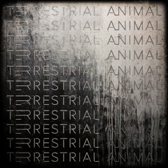 Terrestrial Animal