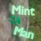 mintmanvr