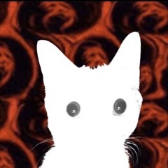 fennik
