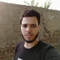 محمد القصبى