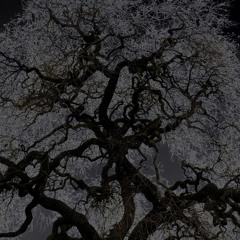 Sirius Moonlite