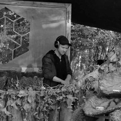 Dendron (Takt Kultur / Sommer Sonne See)