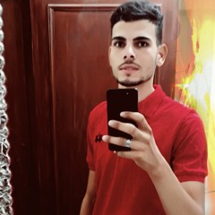 Mohamed Ghonim