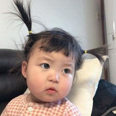 kaseynguyen