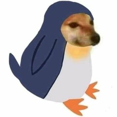 NgNhHuy