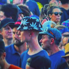 Timo 🔊🦑
