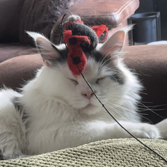Nemesis