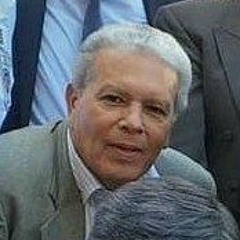 Mario Gmo Palma Rosales