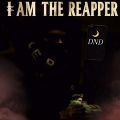 YN-REAPPER