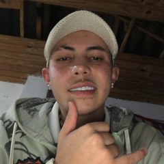 Pingo.zr4um