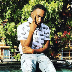 Pablo PicturePainter