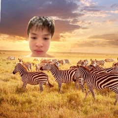 LuLuLennart