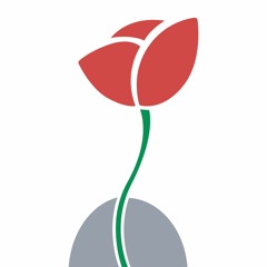 Tamer Institute مؤسسة تامر