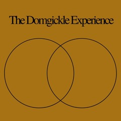 The Domgickle Experience