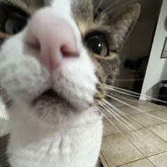mimi