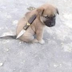 Nguyễn Ngọc Bích