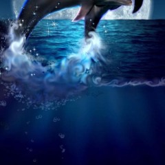 d-doll.phin
