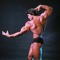 zyzz_mlc