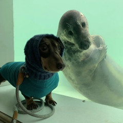 OnMyMamaIonGiveAhFuk