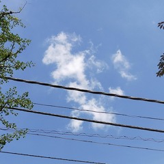 esd