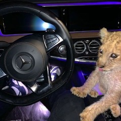 maximovi444