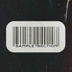 Sample Section