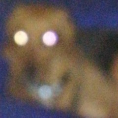 luki