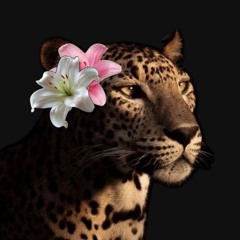 Noni
