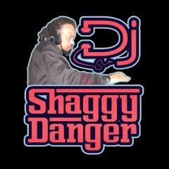 DJ Shaggy Danger