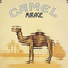 Camel