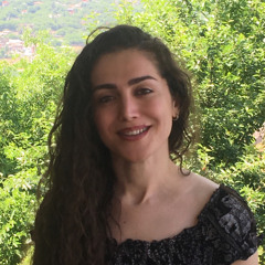 mona ameri 3