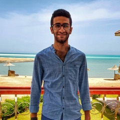 Beshoy fayez