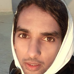 walid faied