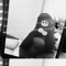 t.nhu
