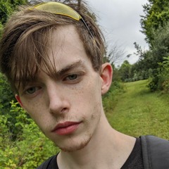 Ninja dude